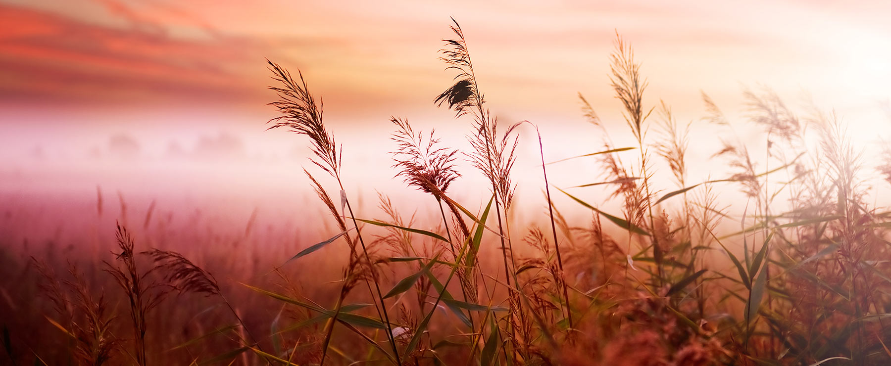 Fast, Responsive and Easy to Use